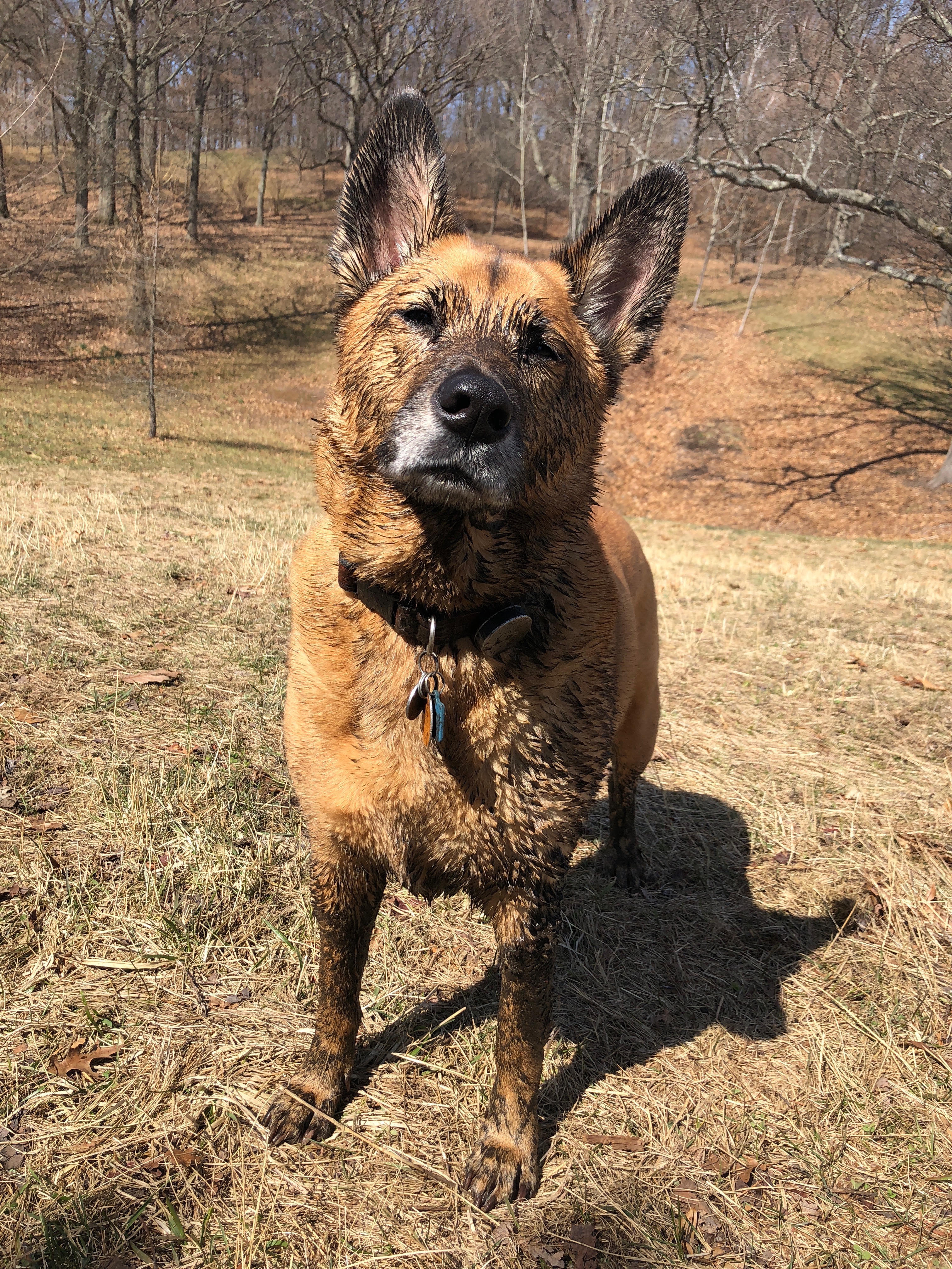 Mud Reggie Mud Reggie